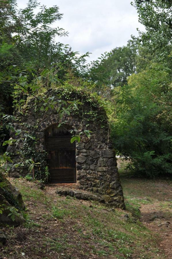 Apartamento El Lilà Olot Exterior foto
